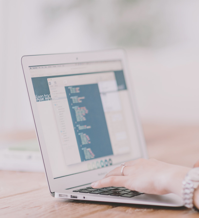 Expert ensuring accurate, well-structured data entry, optimizing website performance, improving navigation, providing relevant information