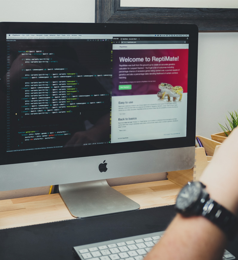 A person working on a computer, coding a user-friendly web page using the latest web technologies.